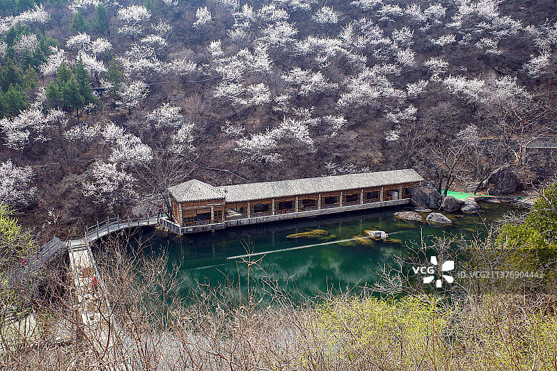 妙峰山桃花溪赏花图片素材