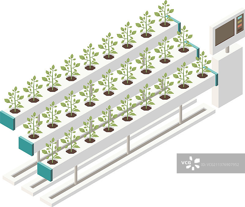 电子生长植物构图图片素材