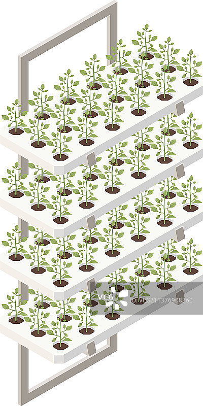 植物组合边框图片素材