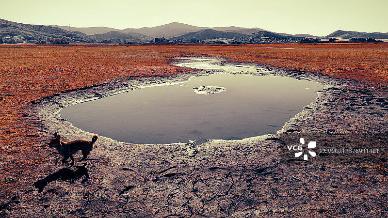 梦幻星球图片素材