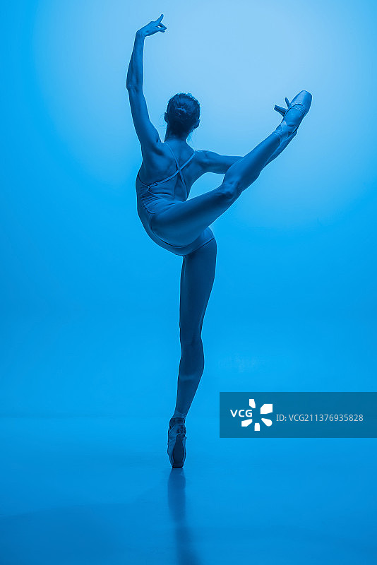 蓝色背景中年轻优雅的芭蕾舞演员的背影图片素材
