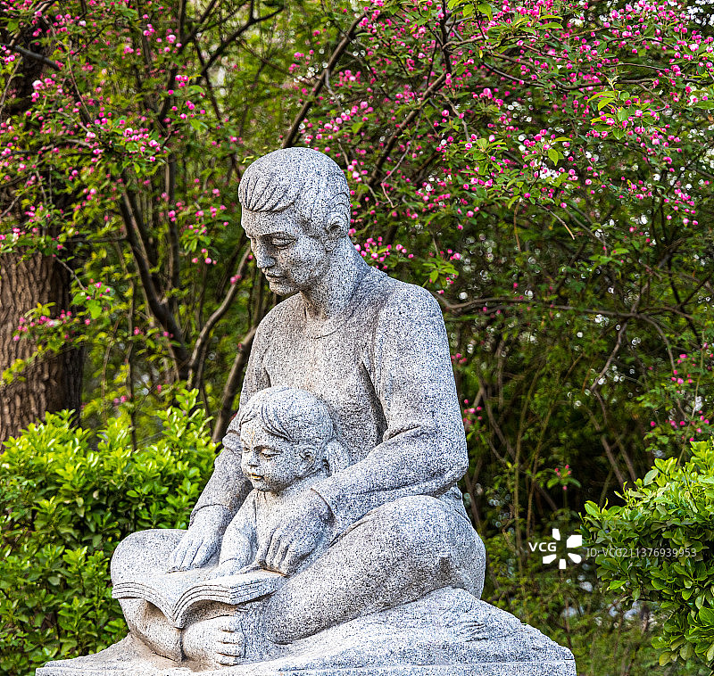 社区石像：海棠花下的亲子阅读图片素材