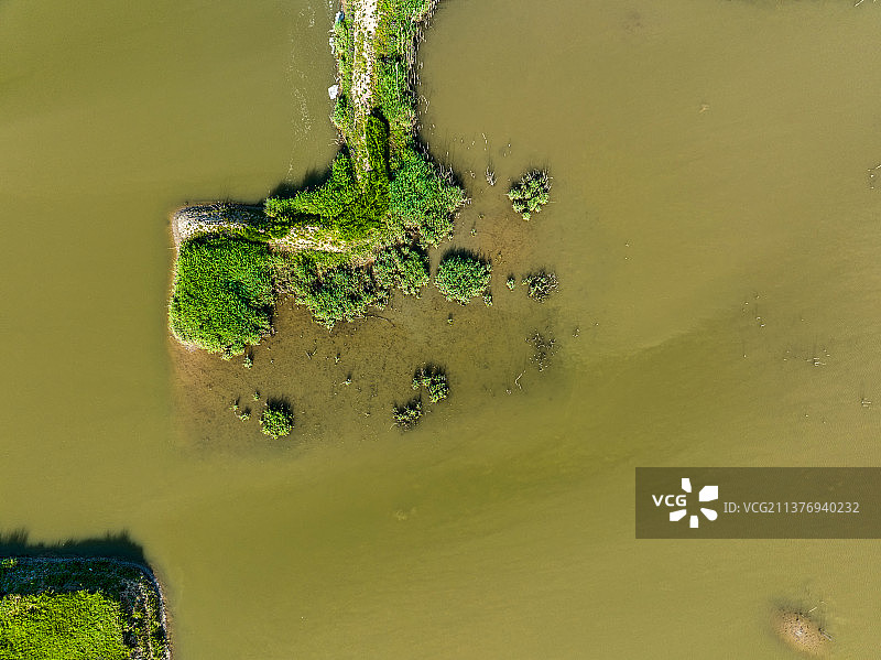 荆山河湿地风光图片素材