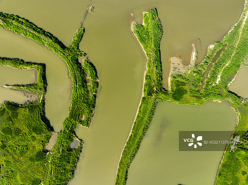荆山河湿地风光图片素材
