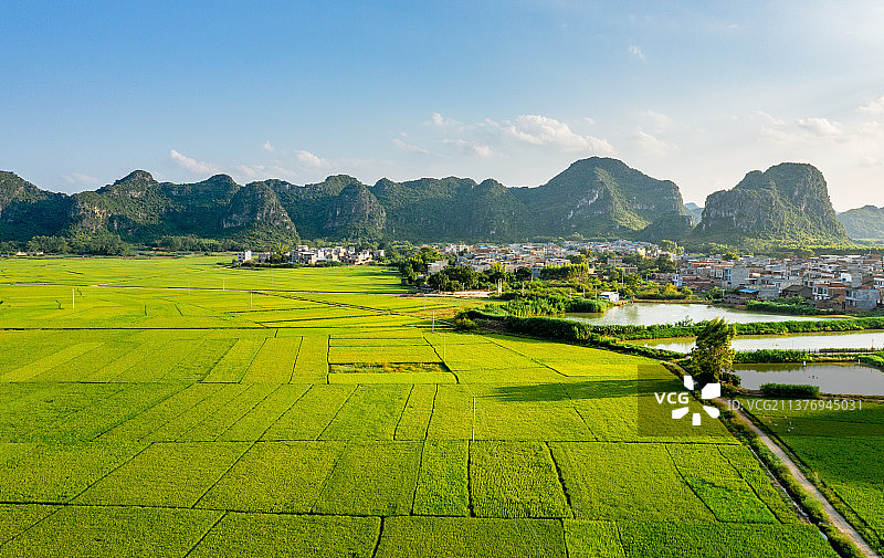 农业田顶天景观图片素材