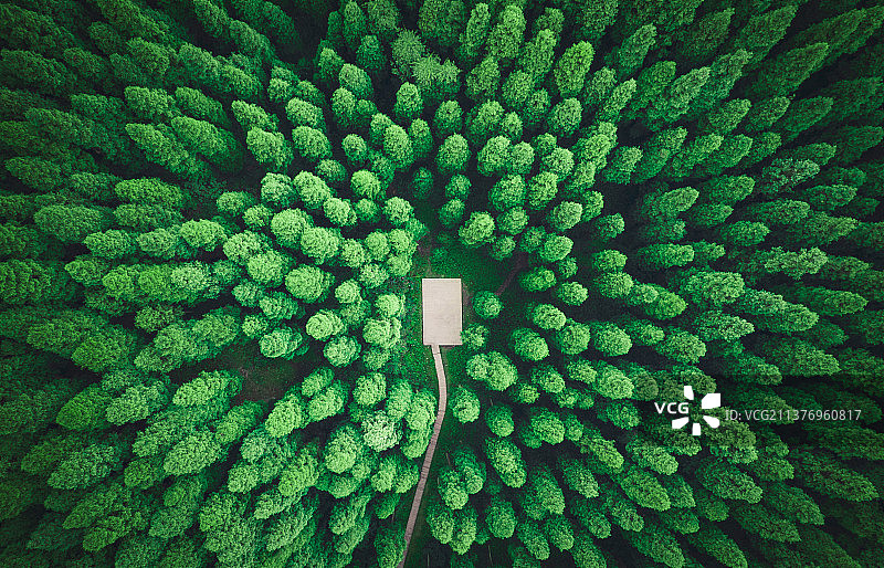 成都彭州中坝森林保护站图片素材