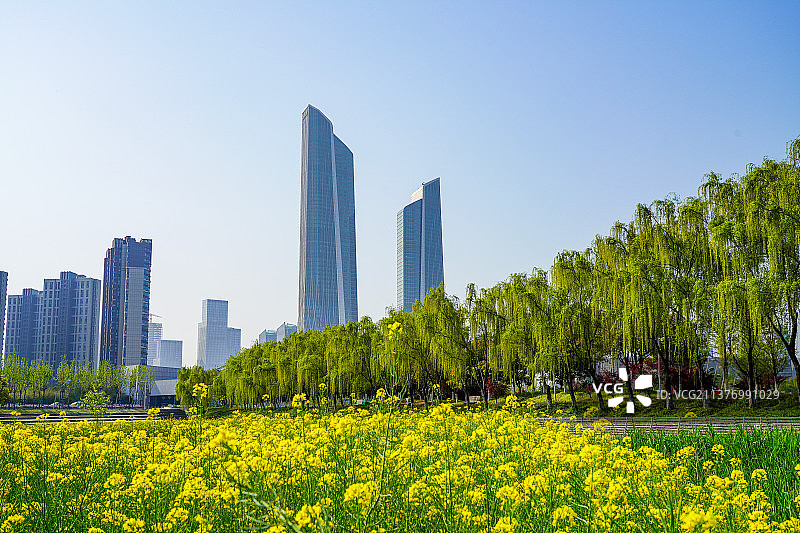南京河西南京眼旅游区临江公园，南京河西奥体双子塔，油菜花盛开的城市和田园风光图片素材