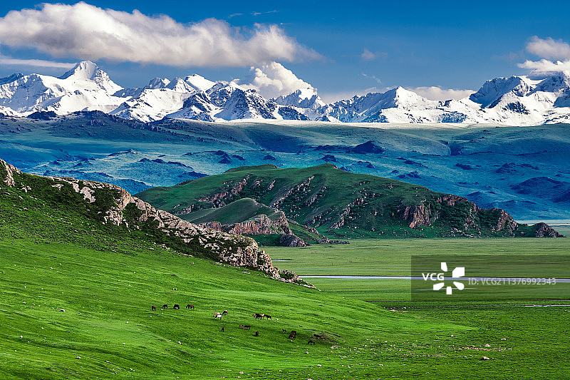 新疆巴音布鲁克草原图片素材