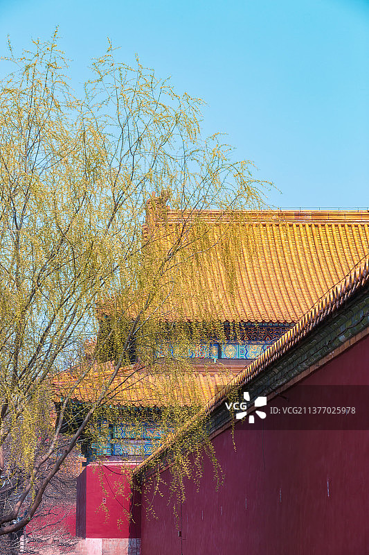 满城春色宫墙柳图片素材