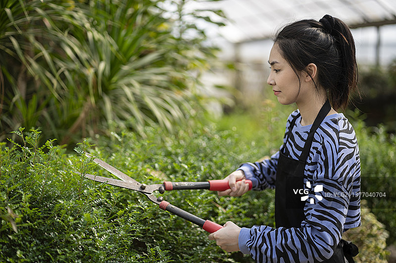 植物园里修剪的年青女性园丁图片素材