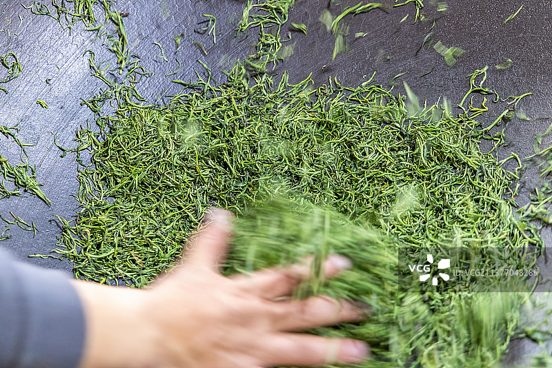 手工炒制信阳毛尖茶叶图片素材