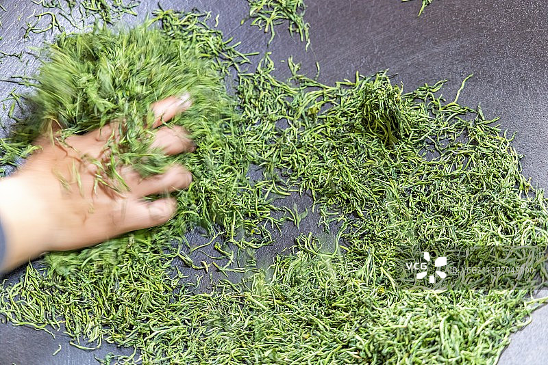 手工炒制信阳毛尖茶叶图片素材