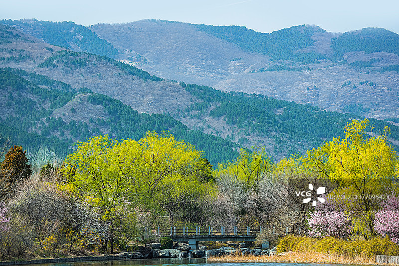 北京植物园春天的光图片素材