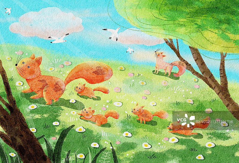 春天来了，狐狸妈妈带着小狐狸们出来玩了图片素材