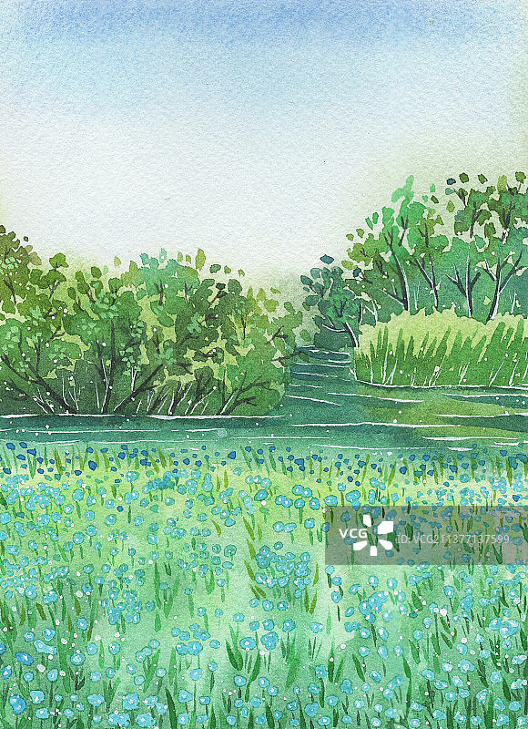 河边的蓝色小花图片素材