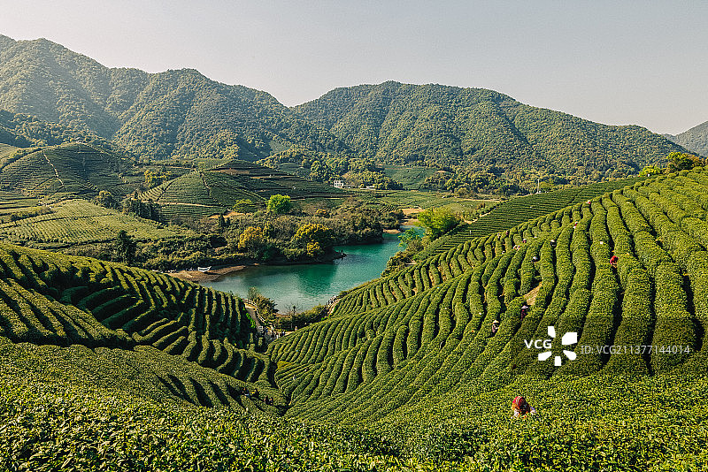 春日龙坞--杭州龙坞茶山光明寺水库图片素材