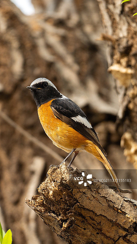 你还拍图片素材