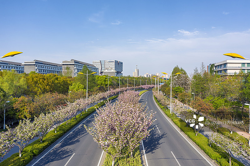 苏州园区独墅湖高教区的春天图片素材