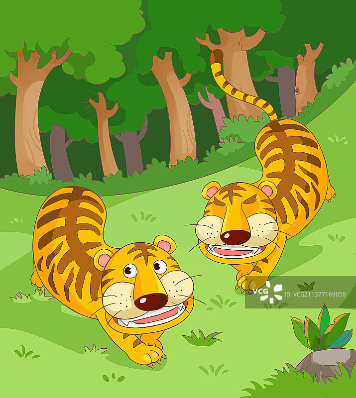 两只老虎走出来 一只没有尾巴一只没有眼睛图片素材