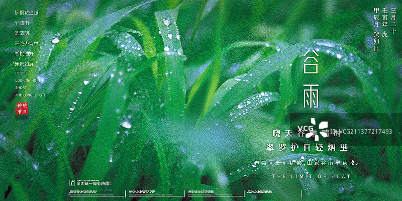 谷雨绿植设计展板海报图片素材
