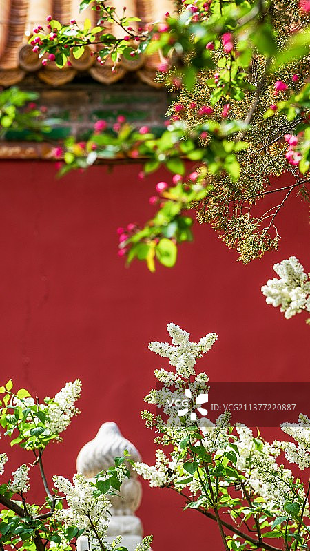 故宫的四月天图片素材