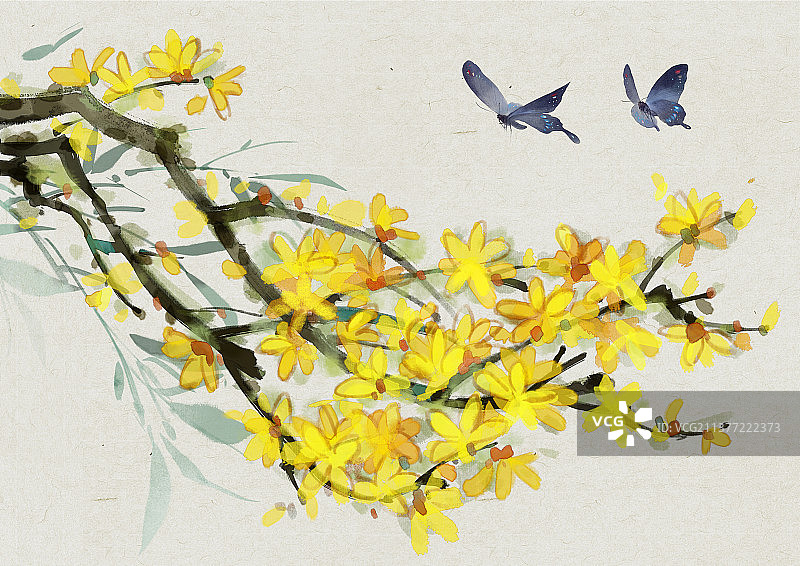 迎春花水墨画图片素材