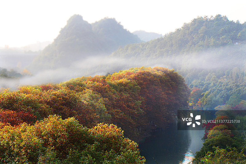 花溪黄金大道秋色图片素材