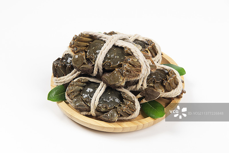 白底上捆扎的新鲜大闸蟹图片素材