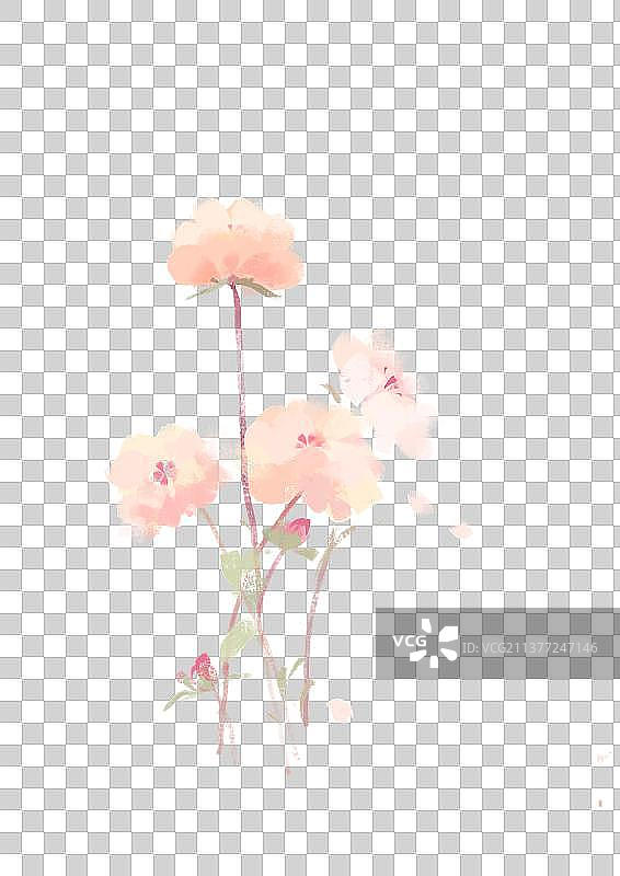 森系小物图片素材