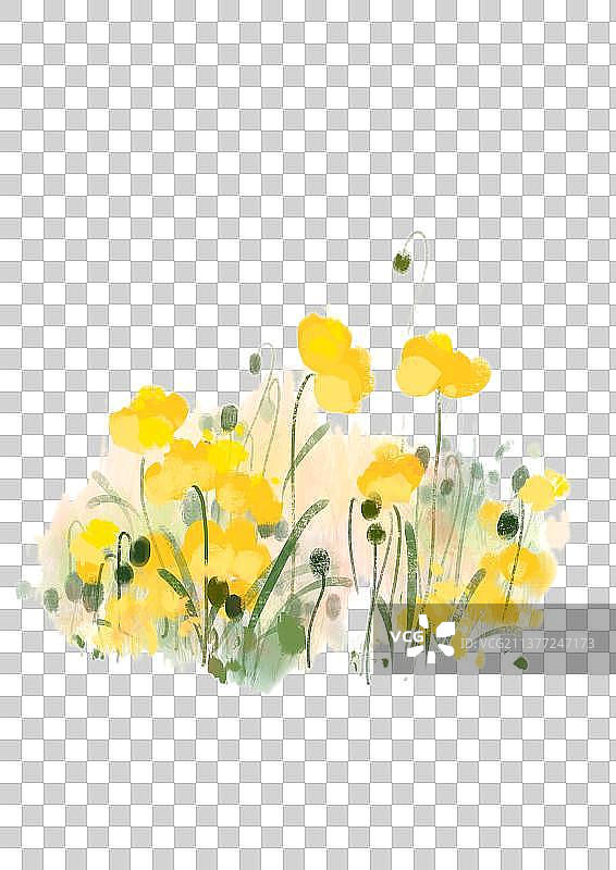 森系小物图片素材