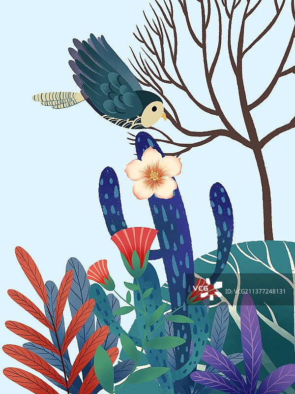 植物与鸟图片素材