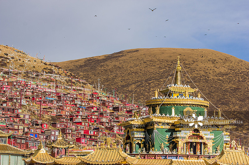 坛城上的雄鹰图片素材