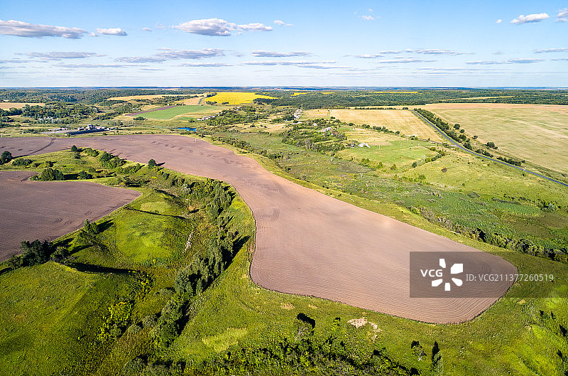 俄罗斯库尔斯克地区的黑钙土农业田图片素材