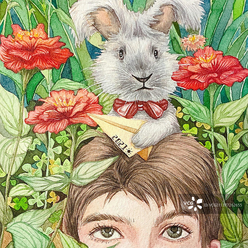 草丛里的兔子和男孩图片素材