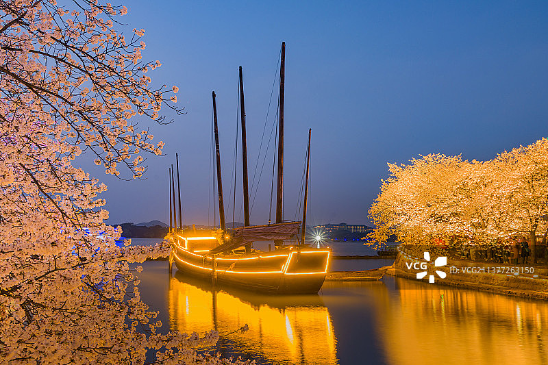 无锡市太湖鼋头渚风景区樱花季赏樱楼和长春桥灯光秀表演图片素材