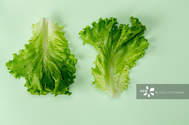 薄荷色背景上的沙拉顶视图图片素材