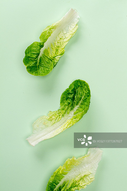 薄荷色背景上的沙拉顶视图图片素材