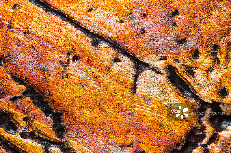 鲜艳多彩的抽象金属纹理背景图片素材