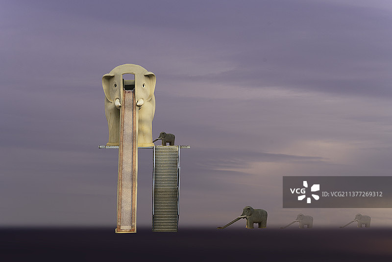 动物世界，大象们的游乐场图片素材