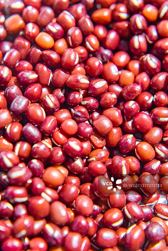 堆放在一起的谷物种子图片素材