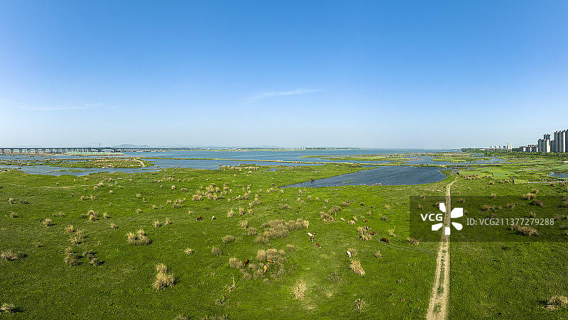 航拍襄阳宜城万洋洲国家湿地公园全景风光图片素材