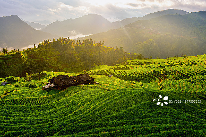 加榜梯田图片素材