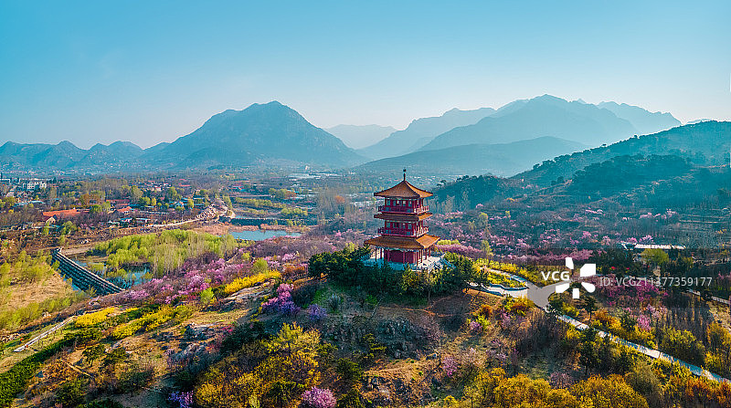 泰山赐福阁春暖花开图片素材