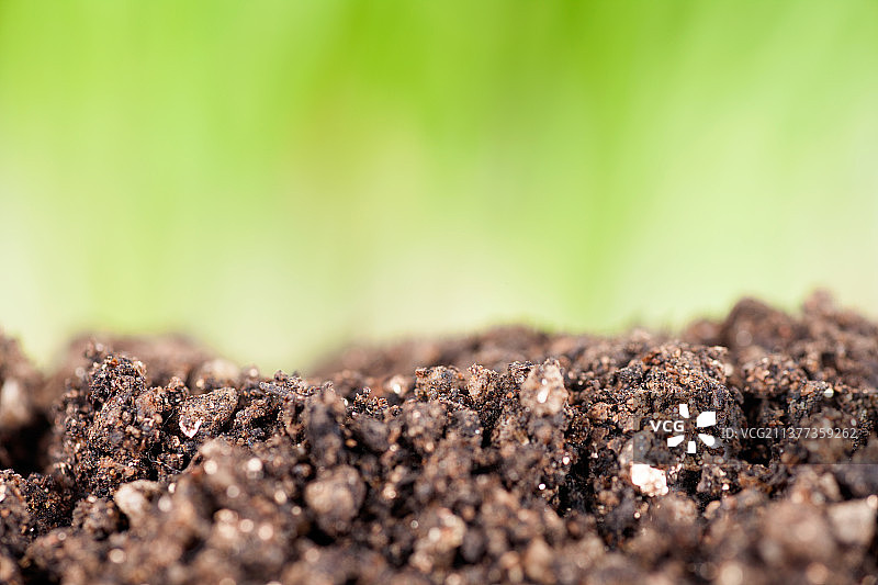 肥沃的土壤和绿背景图片素材