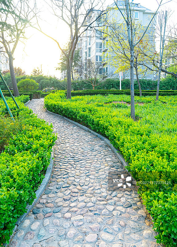 中国公园弯曲的铺路石人行步道和绿色的绿化带花坛，户外无人图像摄影图片素材