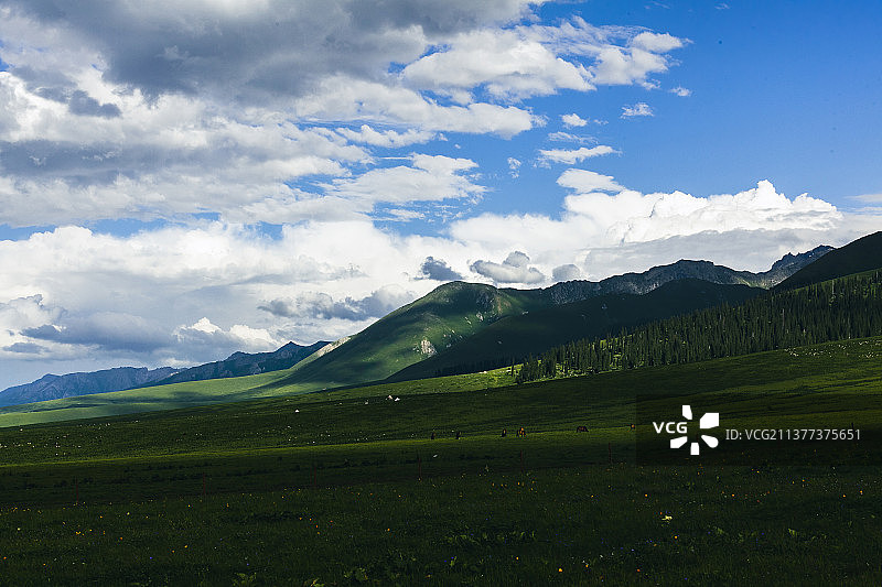 迷人的那拉提图片素材