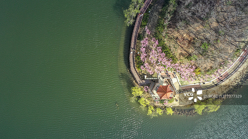 青岛十梅庵风景区航拍视角日景图片素材
