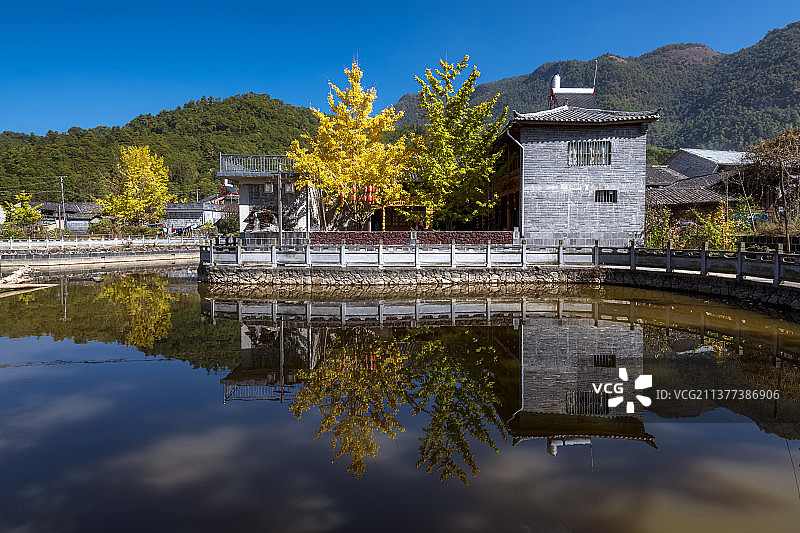 乡村秋色--腾冲银杏村图片素材