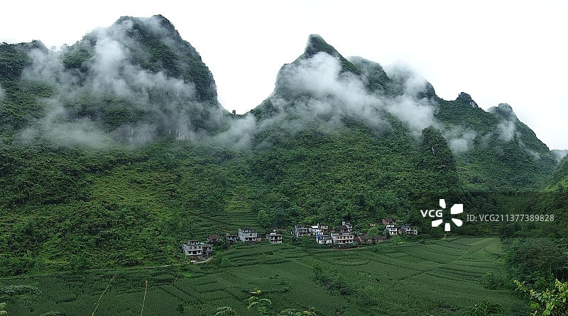 广西河池：雨后喀斯特地貌云雾缭绕图片素材