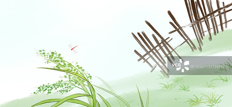 篱笆边上的几株水稻图片素材